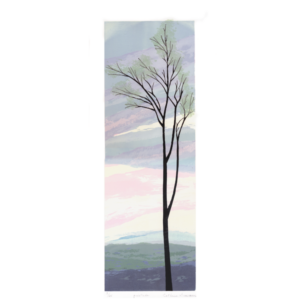 Quietude